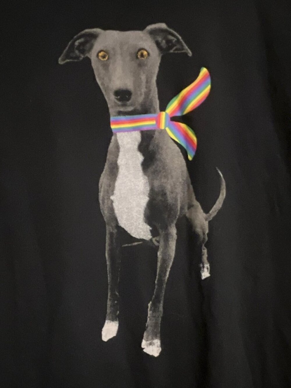 Attic Salt Unisex XL Black Cotton Crew Neck Short Sleeve Dog Graphic T-Shirt M/W